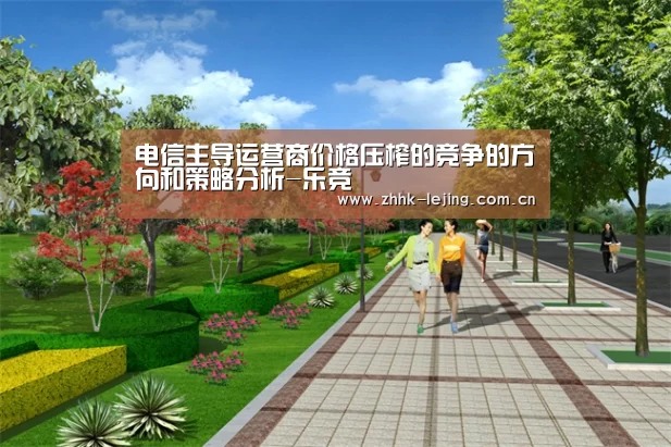 电信主导运营商价格压榨的竞争的方向和策略分析-乐竞(图2) 电信主导运营商价格压榨的竞争的方向和策略分析-乐竞(图2)